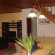 Lefkada Center Apartments 