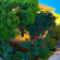 Alkyon Apartments & Villas Hotel 
