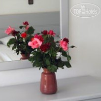 Despina Hotel