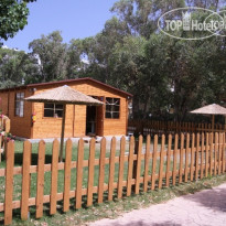 Dessole Olympos Beach Resort