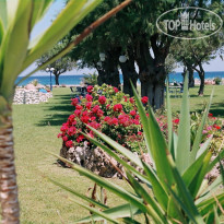 Al Mare Apartments