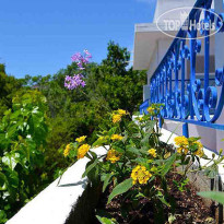 Effie's Dreams Studios 