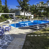 Pine Trees Art Hotel 