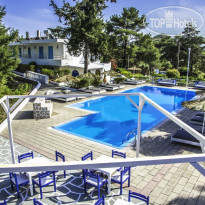 Pine Trees Art Hotel