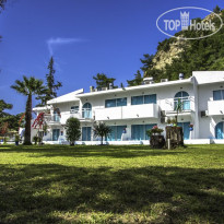 Pine Trees Art Hotel