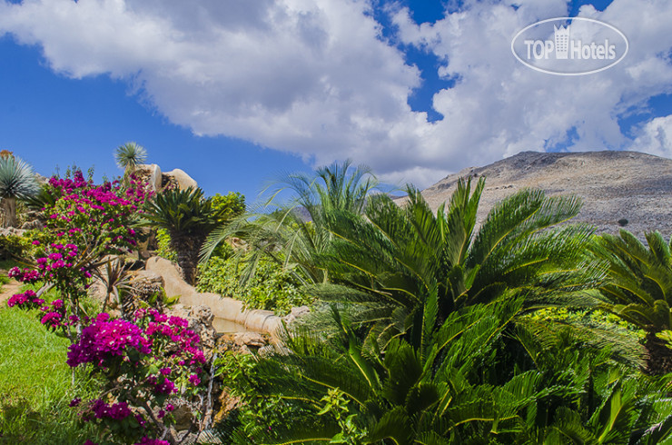 Новые добавленные фото туристов Lambis Studios 