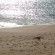 Lindia Thalassa Resort 