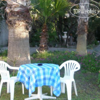 Dolphin Apartments