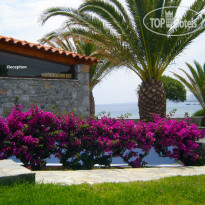 Paraktio Beach Apartments 