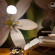 Sivota Diamond Spa Resort 