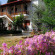 Vergonis Studios 