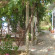 Isalos Guesthouse 