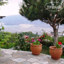 Theasis Guesthouse
