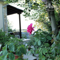 Guesthouse Kleopatra's 