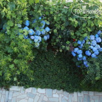 Xenioti Guesthouse