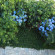 Xenioti Guesthouse 