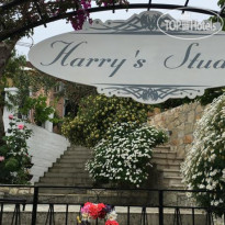 Harrys Studios