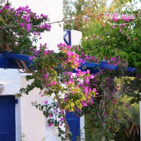 Syros Inn