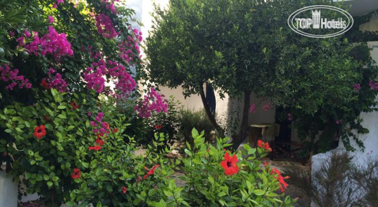 Новые добавленные фото туристов Utopia Hotel Apartments 