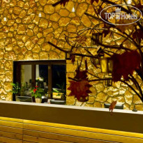 Pliadon Gi Mountain Resort & Spa Стойка регистрации
