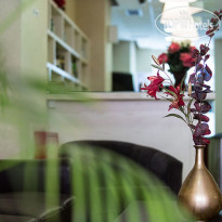 Olympic Star Рецепция