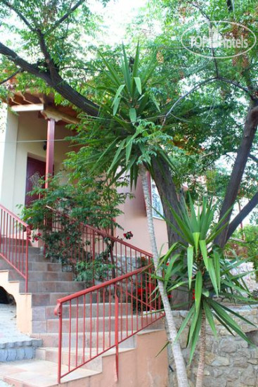 New photos from tourists Villa Amaryllis