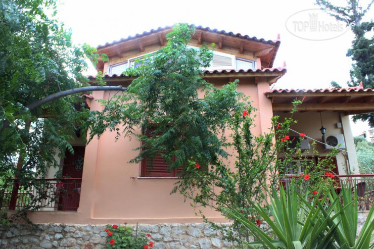 Hotel photo Villa Amaryllis 