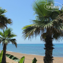 Ionion Beach