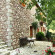 Andrea Sofi Guesthouse 