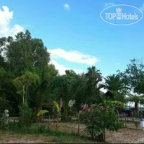 Argolic Strand Camping Drepano 