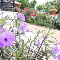 Aris Hotel 