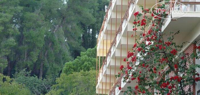 Hotel photo Neda 4*