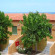Esperides Apartments HV-1 