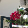 Keros Art Hotel 
