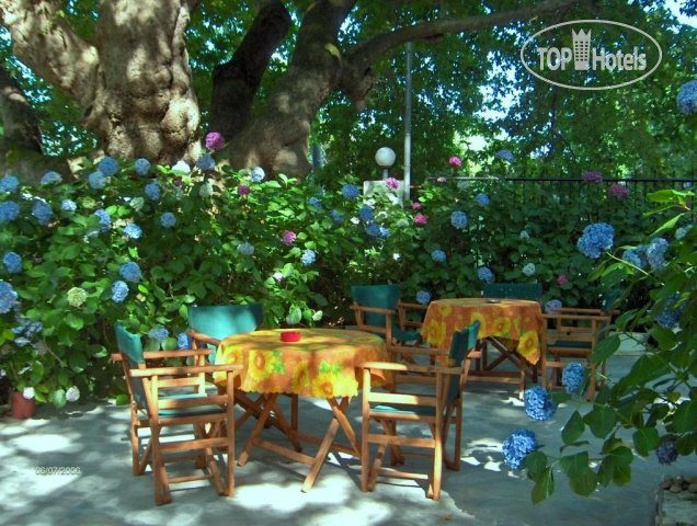 Новые добавленные фото туристов Tasoula Parselia Studios 