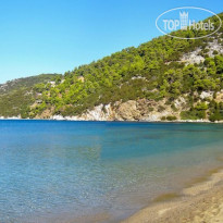 Thalassia Studios Пляж