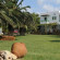 Pegasus Studios & Apartments Отель