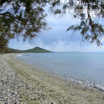 Akrothalassia