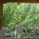 Thalia Hotel 