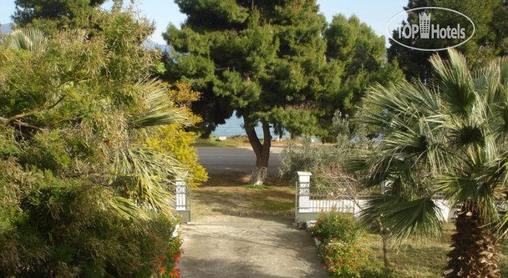 New photos from tourists Elea