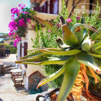 Korifi Suites & Apartments
