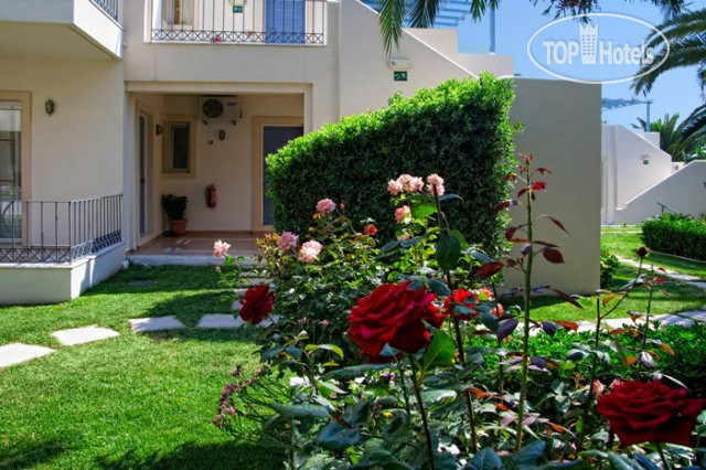 New photos from tourists Papadakis Apartments 3*