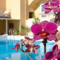 La Stella Hotel Apartments & Suites 