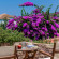 Spilia Village Hotel 