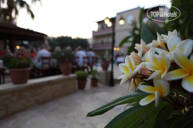 New photos from tourists Summer Dream 3*