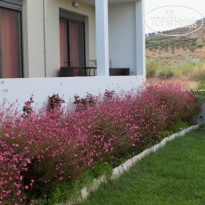 Plakias Suites