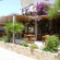 Medousa Apartments & Taverna 