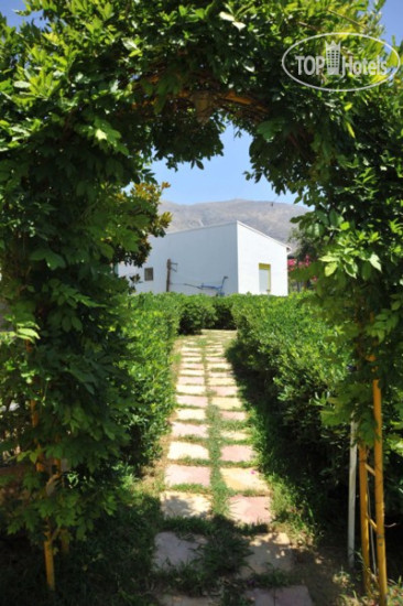 New photos from tourists Ikaros Studios