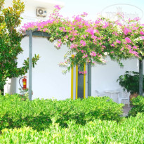 Ikaros Studios