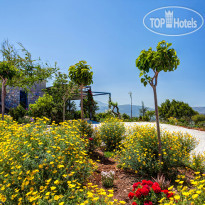 Daedalos & Ikaros Luxury Villas